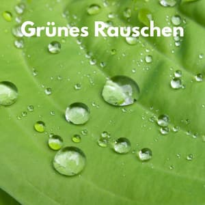 Grünes Rauschen - Weißes Rauschen HD