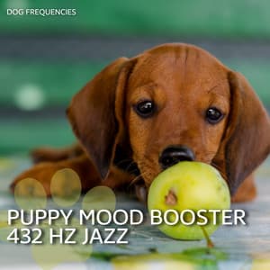Puppy Mood Booster 432 Hz Jazz - Dog Frequencies