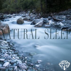Natural Sleep - Nature Sounds Worldwide