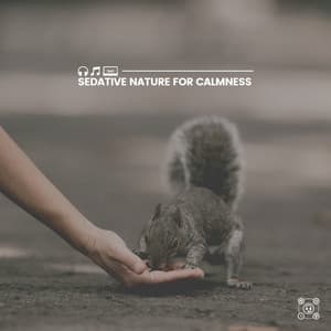 Sedative Nature for Calmness - Soothing Nature Sounds