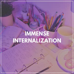 Immense Internalization - Music for Work