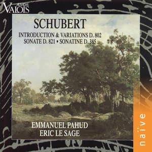 Schubert: Introduction et variations D. 802, Sonate D. 821, sonatine D. 385 - Franz Schubert