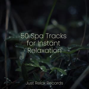 50 Spa Tracks for Instant Relaxation - Meditation Spa