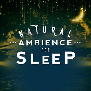Natural Ambience for Sleep - Sleep Sounds of Nature & Natural Sounds