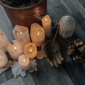 50 Songs With Nature: Blackout - Baltic Nature Sounds