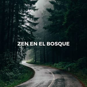 Zen En El Bosque: Reflexiones Boscosas - Bosque Tropical