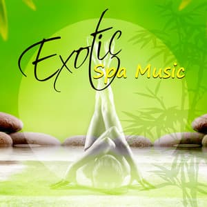 Exotic Crystalline Flow - Johnny Colltrena