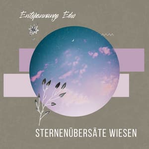 Sternenübersäte Wiesen - Entspannungs Echo