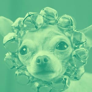 Alto Sax Solo - Dog Calming Music