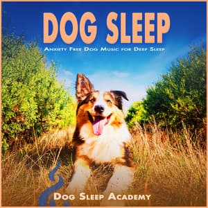Dog Sleep: Anxiety Free Dog Music for Deep Sleep - Dog Sleep Academy