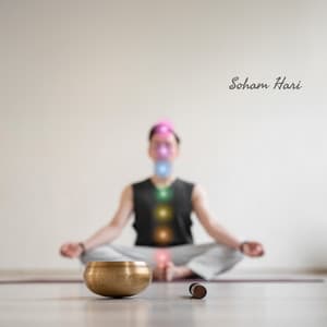 Balance and Heal Your Energy Centers - Soham Hari