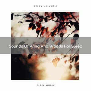 Sounds Of Wind And Woods For Sleep - Sound Sleeping
