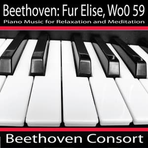 Beethoven: Fur Elise, Woo 59 - Beethoven Consort