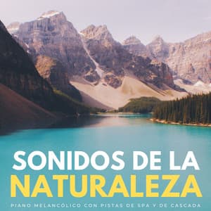 Sonidos De La Naturaleza: Piano Melancólico Con Pistas De Spa Y De Cascada - Sonido de Cascada