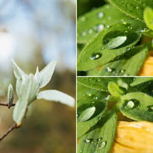 Music for Cozy Thunderstorms - Festive Big Band Ballad with Guitar - Playlist Musica para Leer