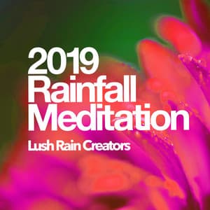 2019 Rainfall Meditation - Lush Rain Creators