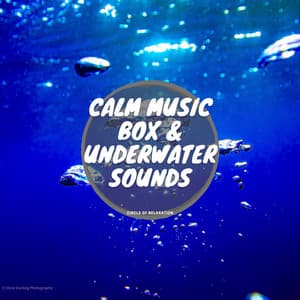Calm Music Box & Underwater Sounds - Circle of Relaxation