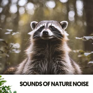 Sounds of Nature Noise: Serenity Waves - Música Relajante Para Leer