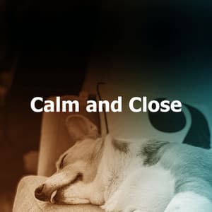 Calm and Close - Calming Music For Pets