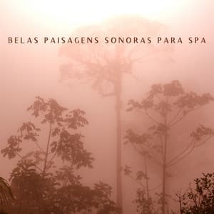 Belas Paisagens Sonoras para Healing Retreat - Shane Nole