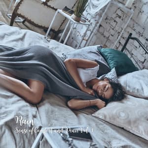 Rain: Sense of Comfort and Peace Vol. 1 - Rain Sound Experience