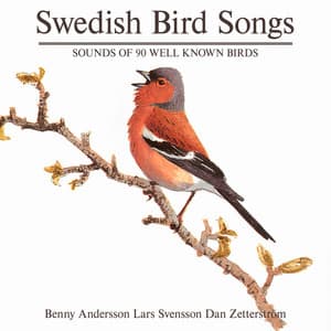 Swedish Birdsong - Benny Andersson