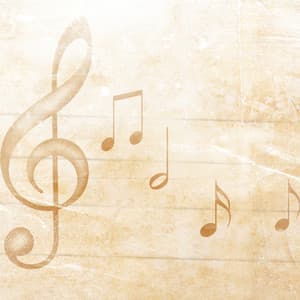 Soothing Pet Oasis: Ambient Music Comfort and Calm - The Calm Music Network