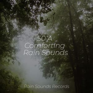 50 A Comforting Rain Sounds - Spa