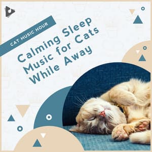 Calming Sleep Music for Cats While Away - Cat Music Hour