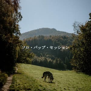 ソロ・パップ・セッション - Brazilian Jazz Deluxe