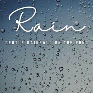 Gentle Rainfall: Harmonizing with Nature's Blessings - Lightning, Thunder and Rain Storm