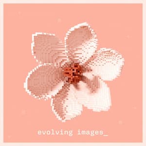Evolving Images - Moritz Bintig
