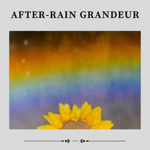 After-rain Grandeur - Yoga Rain