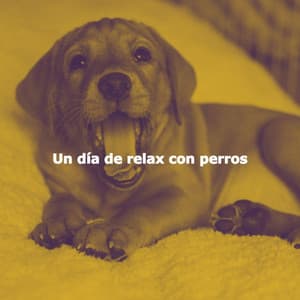 Un día de relax con perros - Music for Cooking Playlist