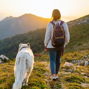 Melodías Relajantes Para Mascotas: Música Para Compañeros - Clima salvaje