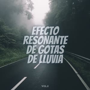 Efecto Resonante De Gotas De Lluvia Vol. 2 - Fabricantes De Lluvia