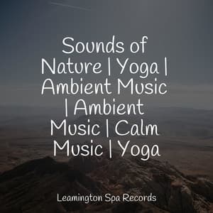 Sounds of Nature | Yoga | Ambient Music | Ambient Music | Calm Music | Yoga - Nature Sounds Collection