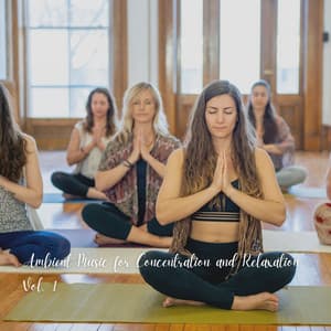 Ambient Music for Concentration and Relaxation Vol. 1 - Chill My Pooch