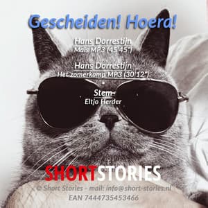 Gescheiden! Hoera! - Hans Dorrestijn