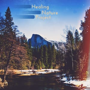 Healing Nature Project: Stress Relief, Positivity, Relaxation Act - Nature Collection