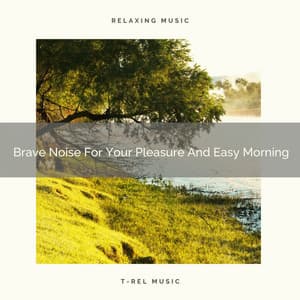 Brave Noise For Your Pleasure And Easy Morning - White Noise Hour