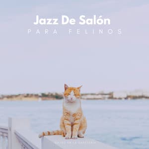 Jazz De Salón Para Felinos: Gatos En La Cafetería - Jazz Coffee Shop Amsterdam