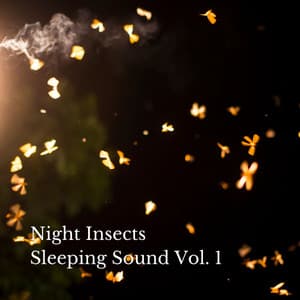 Night Insects Sleeping Sound Vol. 1 - Music for Sleeping Ensemble