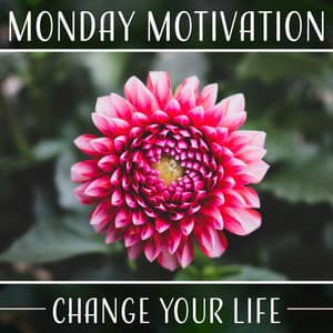 Monday Motivation - Relaxing Distraction Therapy Zone