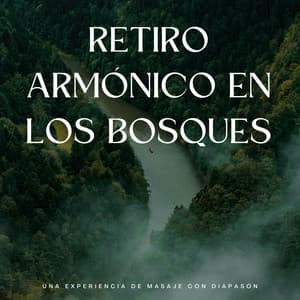 Retiro Armónico En Los Bosques: Una Experiencia De Masaje Con Diapasón - Tesoros del bosque