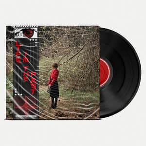 Life in the Past - Calm Music Atmosphere