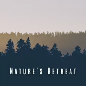 Nature's Retreat: Relaxing Ambient Sounds for Happy Pets - 4D Nature Recordings