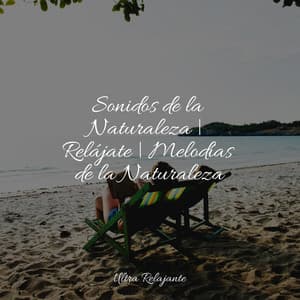 Sonidos de la Naturaleza | Relájate | Melodías de la Naturaleza - Meditação Zen