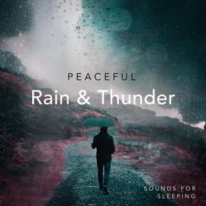 Peaceful Rain & Thunder Sounds for Sleeping - Music of Nature