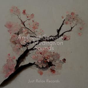 Ambient Serenity - 50 Meditation Sounds - Musica de Relajación Academy